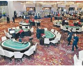 娱乐星空下载app电脑免费版